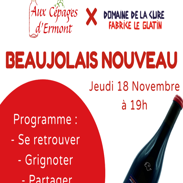 Beaujolais Nouveau (1)